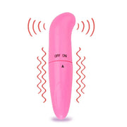 Full Vibrator Kit Dolphin Plug Metal Vibrator Siliconized G-Spot Bullet G-Clitoris Point-Discreet Packing